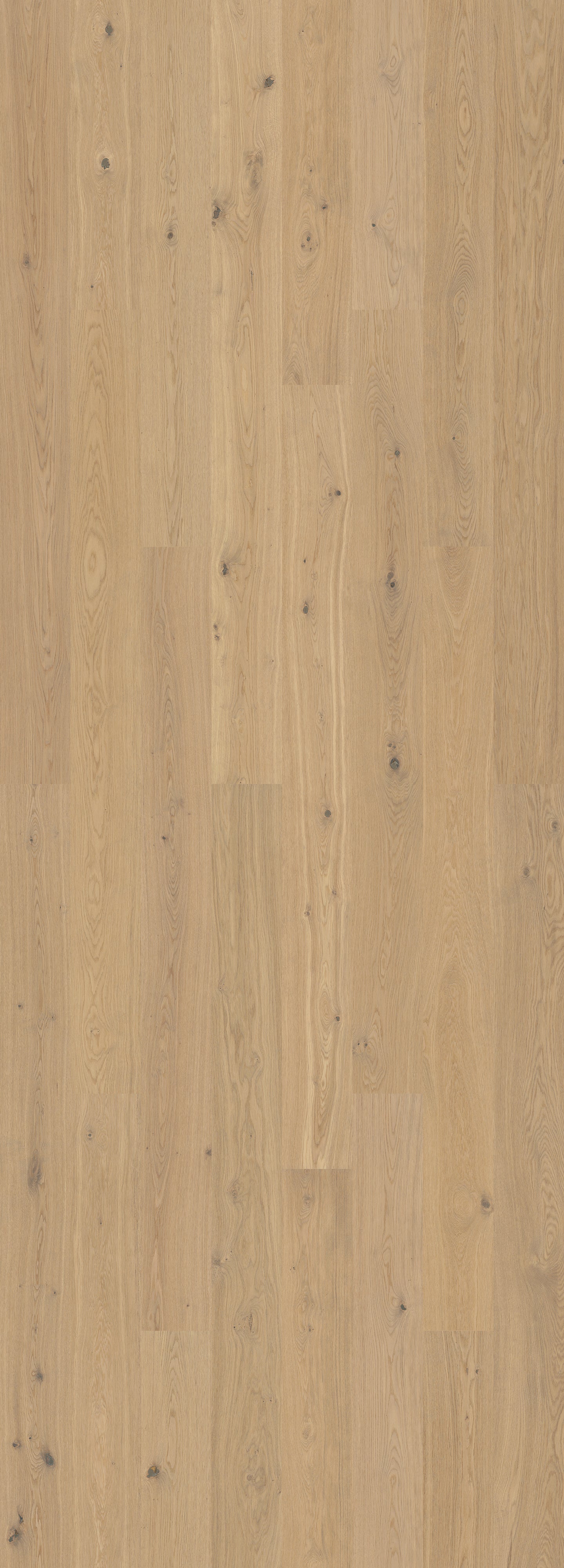 Misty White (Nature)