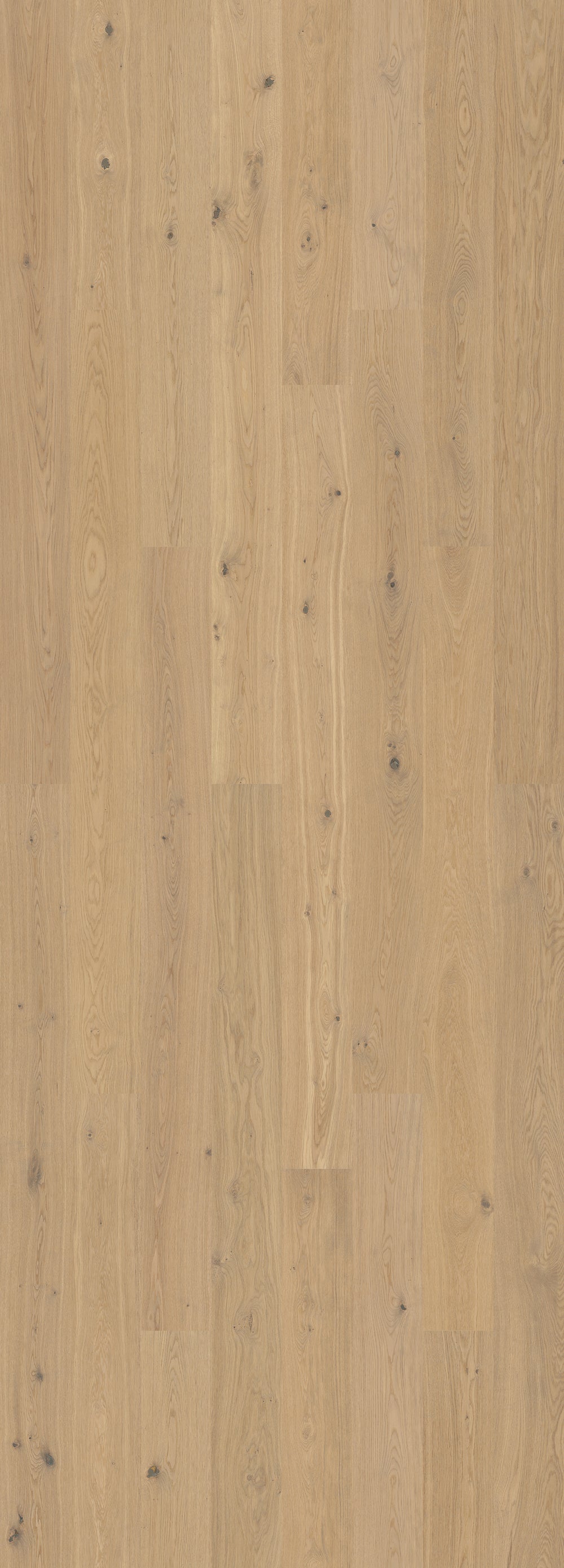 Misty White (Nature)