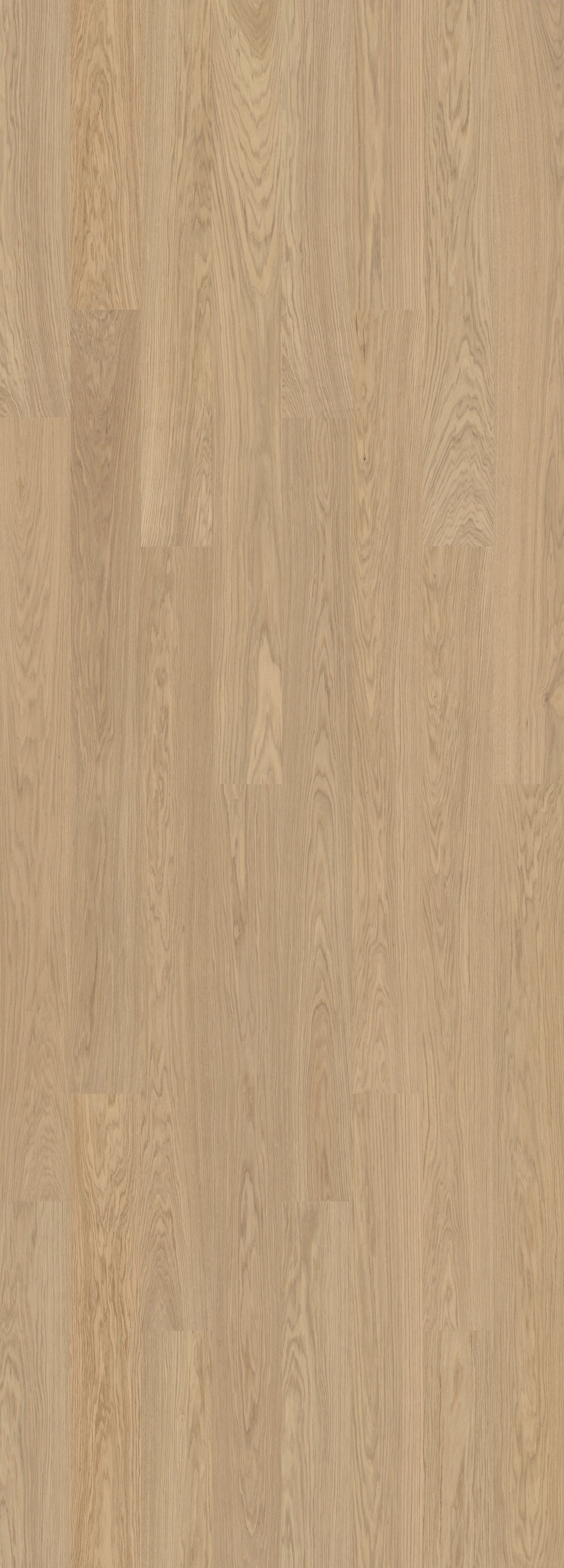 Misty White (Select)