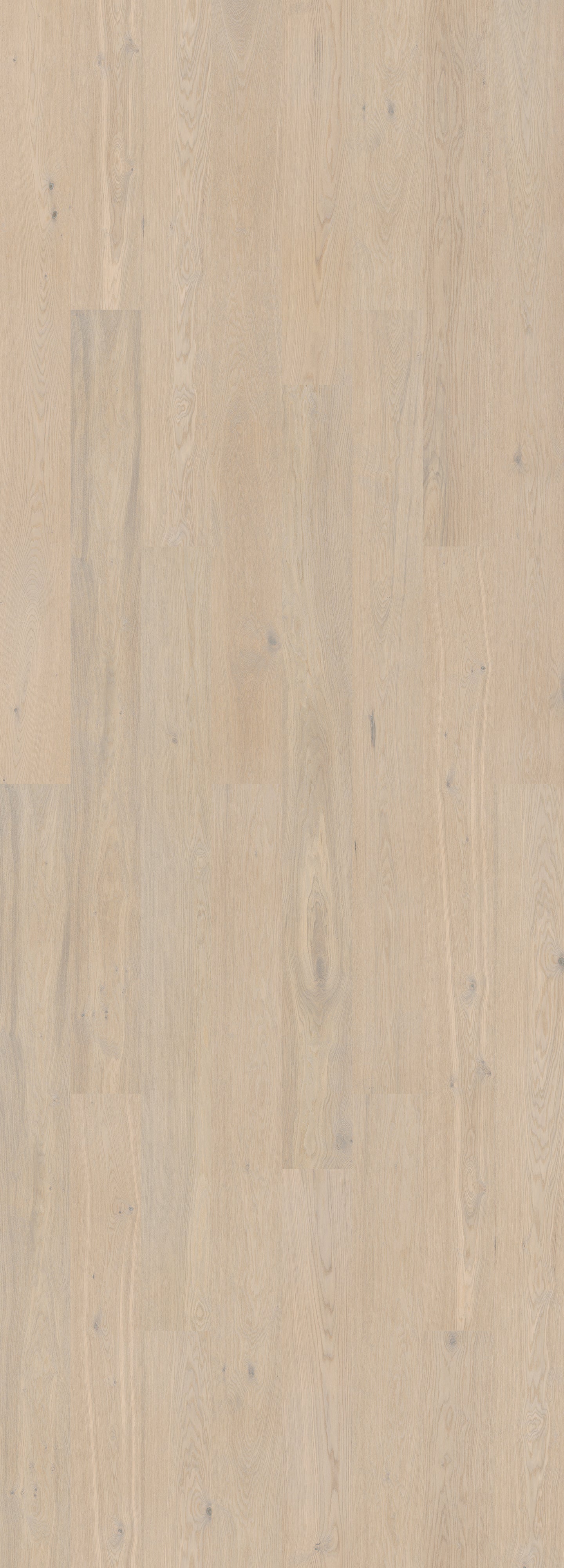 Powder White (Nature)