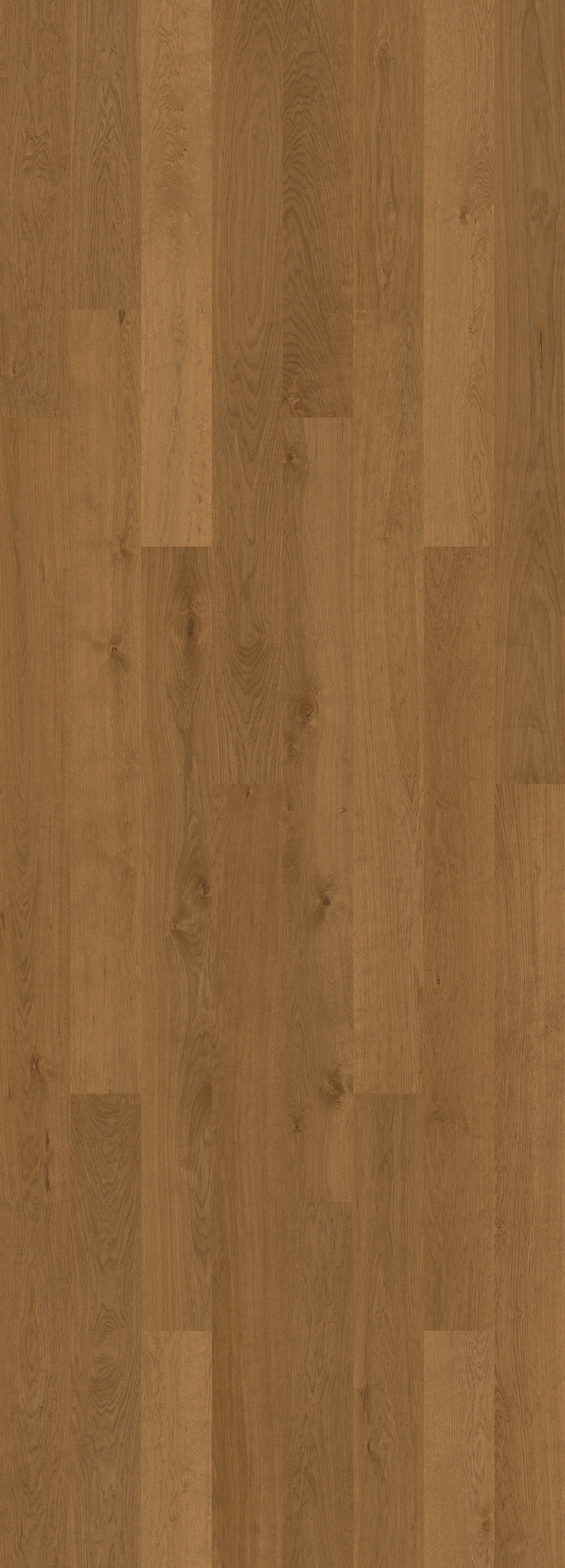 Terra Brown (Nature)