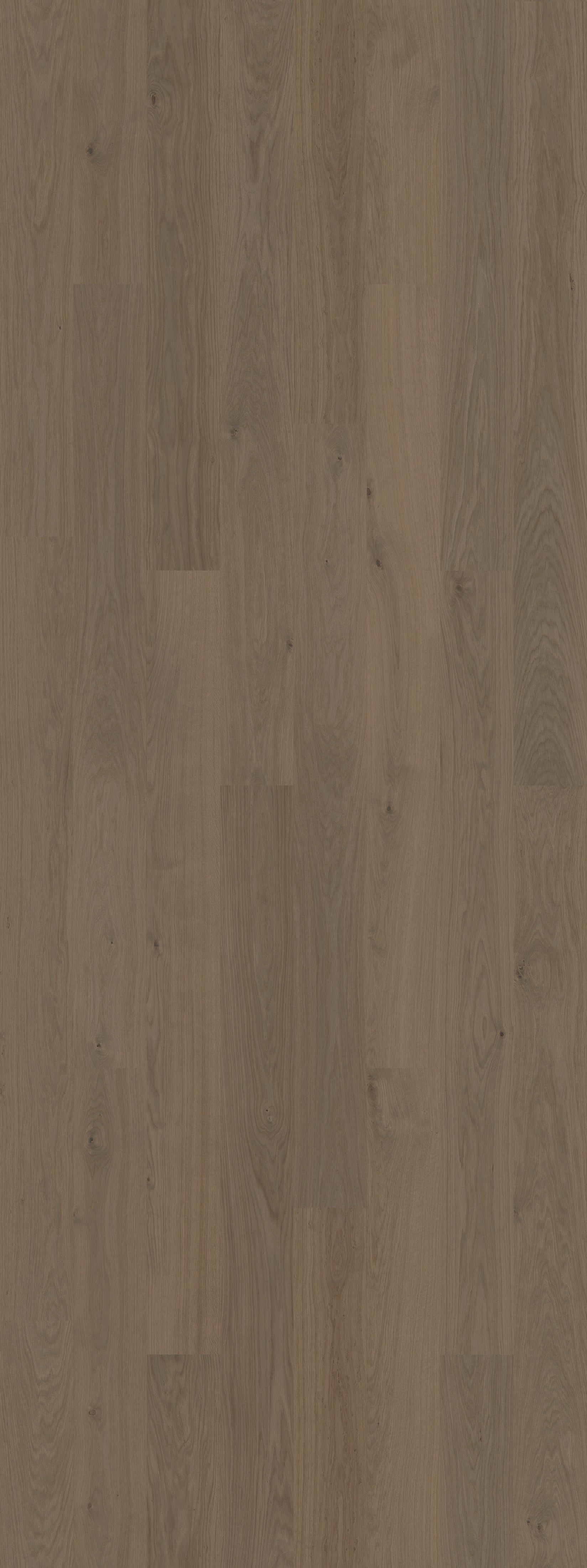 Mineral Grey (Nature)