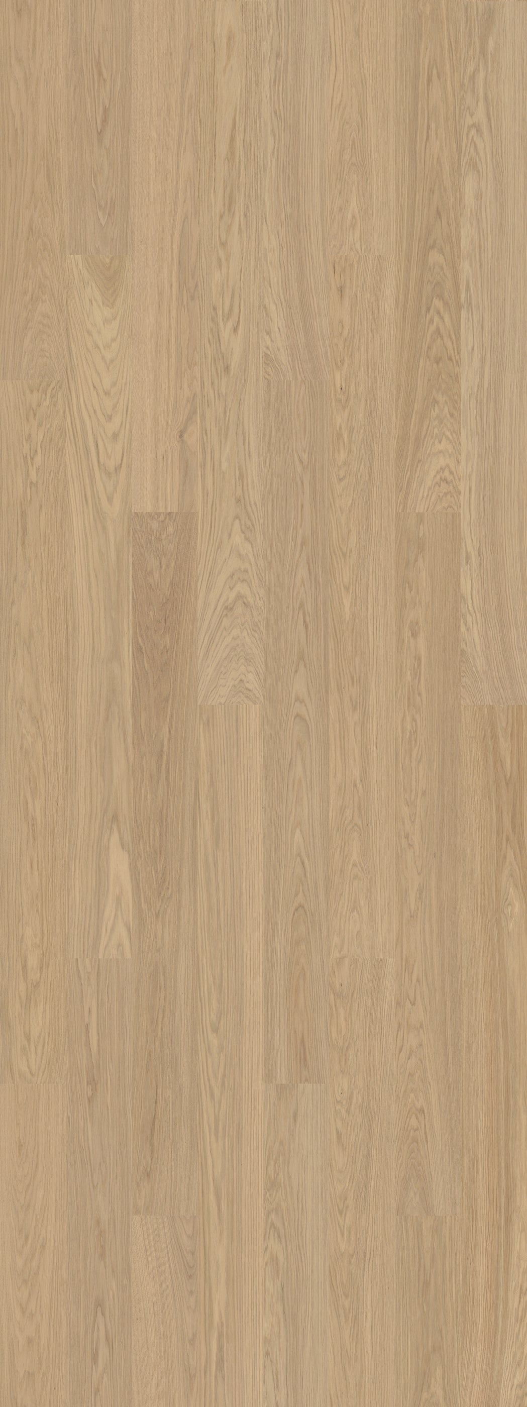 Misty White (Select)