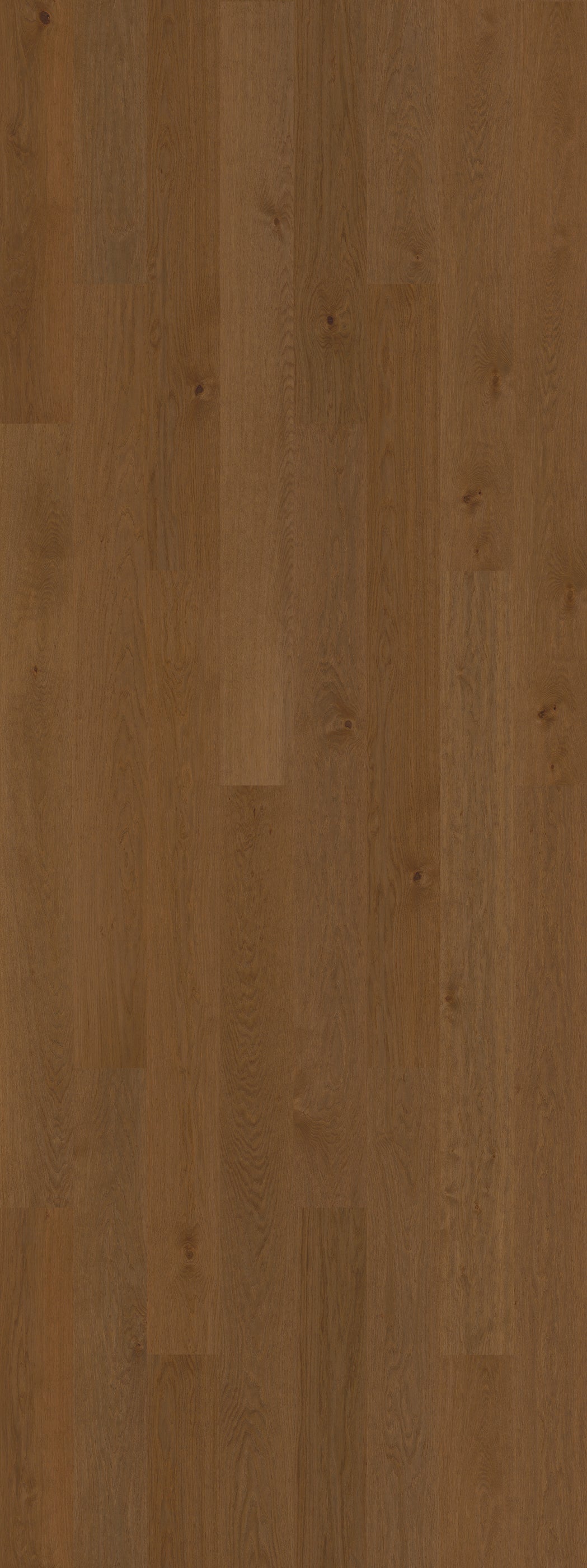 Shadow Brown (Nature)