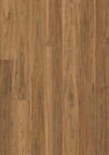 Load image into Gallery viewer, Spotted Gum