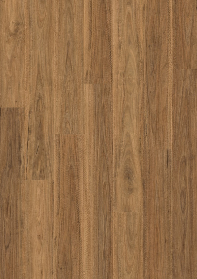 Spotted Gum Laminate Floors in NZ Prime Floors