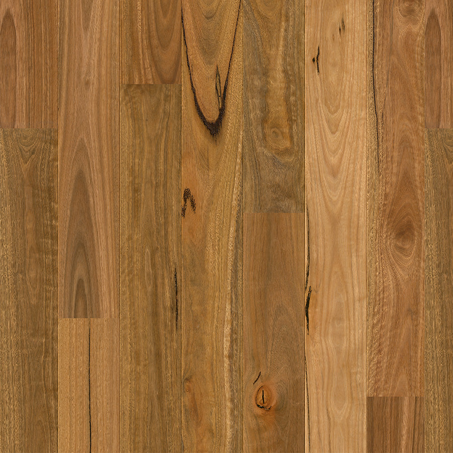 Spotted Gum 1-strip