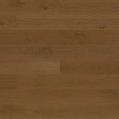 Shadow Brown