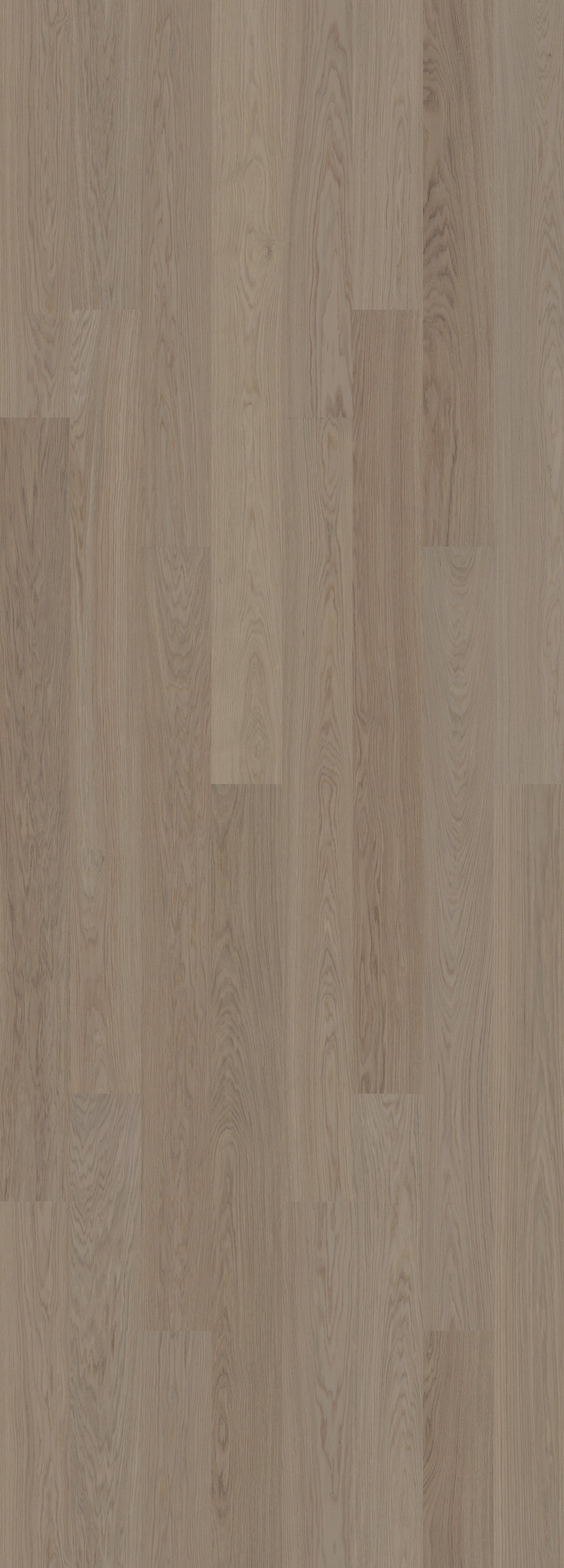 Earth Grey (Select)