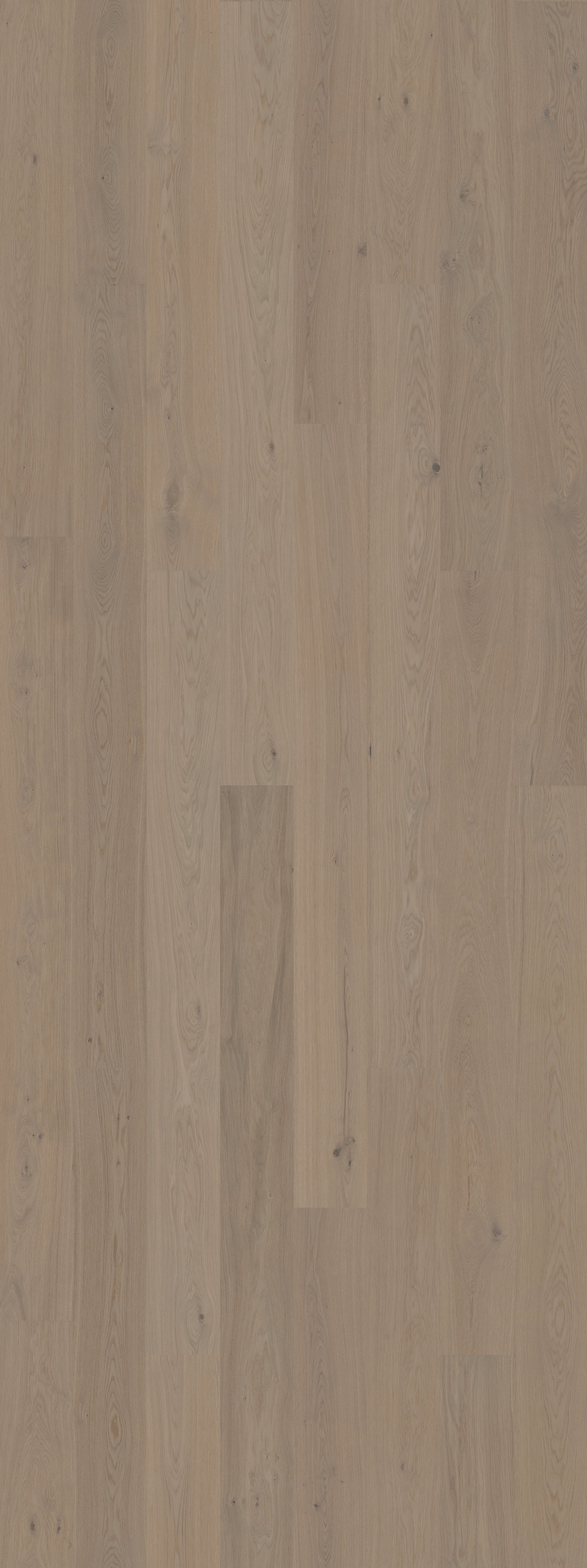 Earth Grey (Nature)