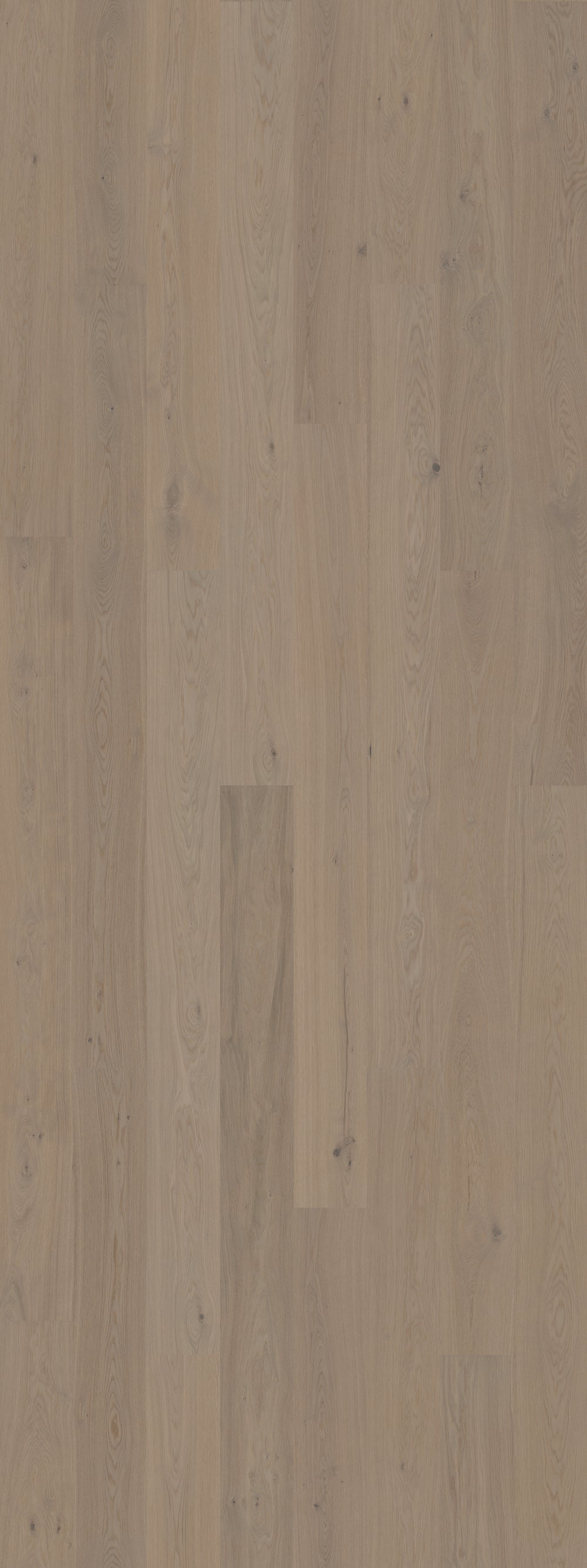 Earth Grey (Nature)