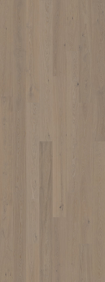 Earth Grey (Nature)