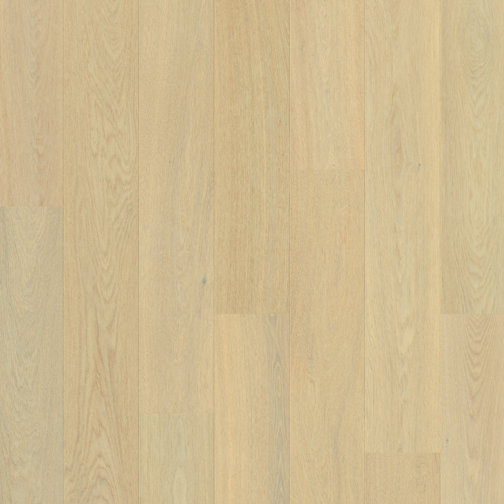 Creamy White Oak