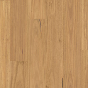 Natural Blackbutt