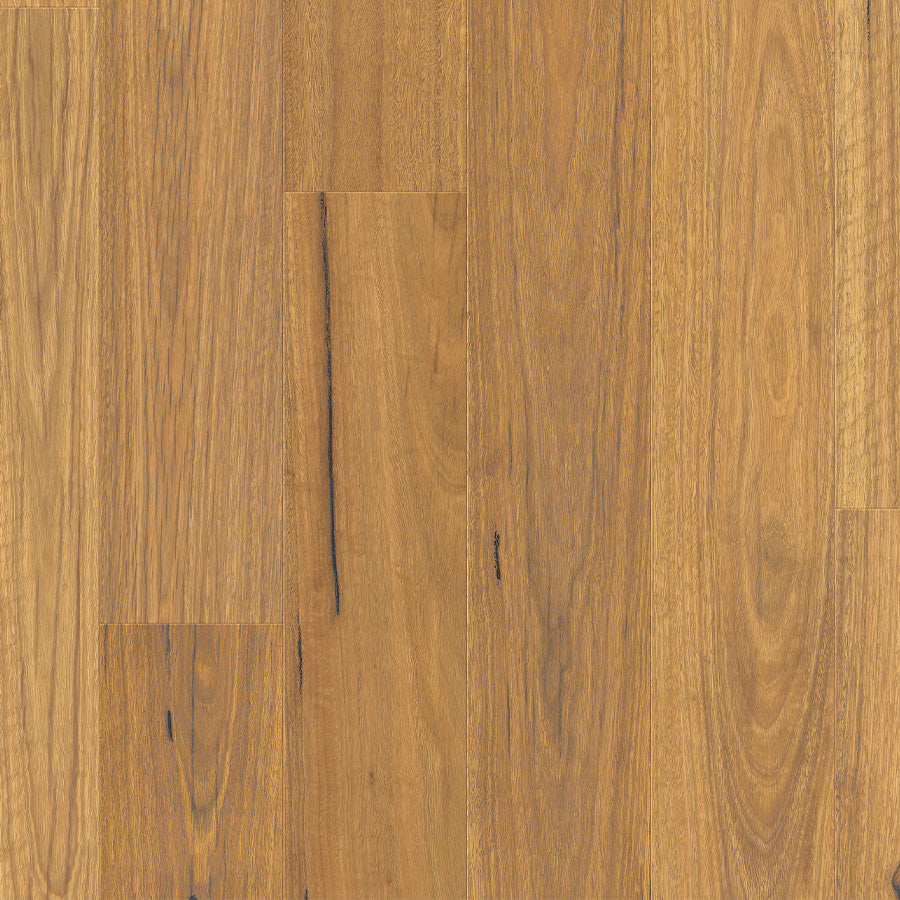Natural Spotted Gum - Clix