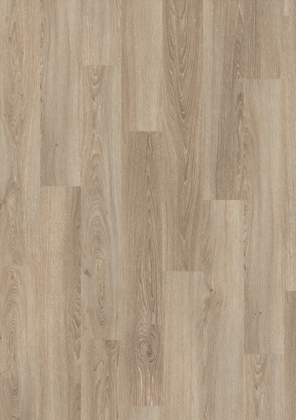 Amiens Oak Light