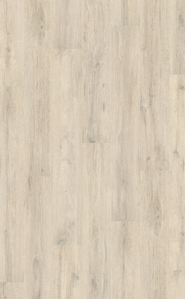 Chalky Oak