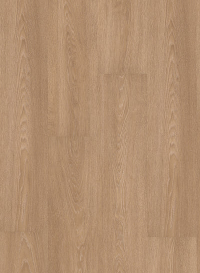 Dolomites Gla Oak