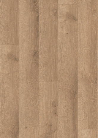 Golden Selena Oak