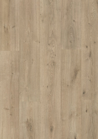Century Vera Oak