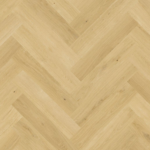 Nutmeg Oak