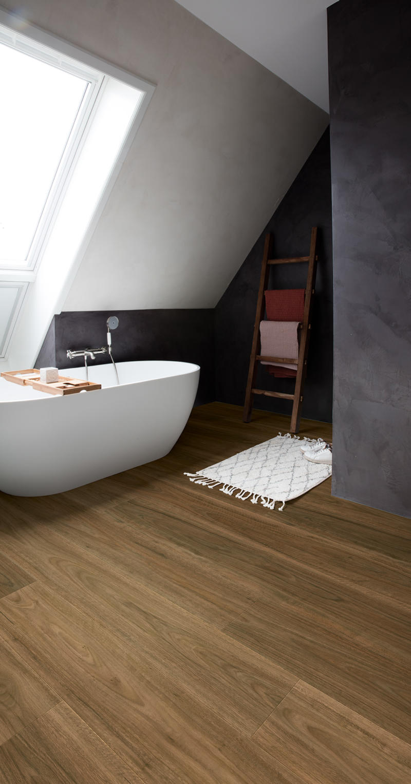 Rendered Spotted Gum - 1