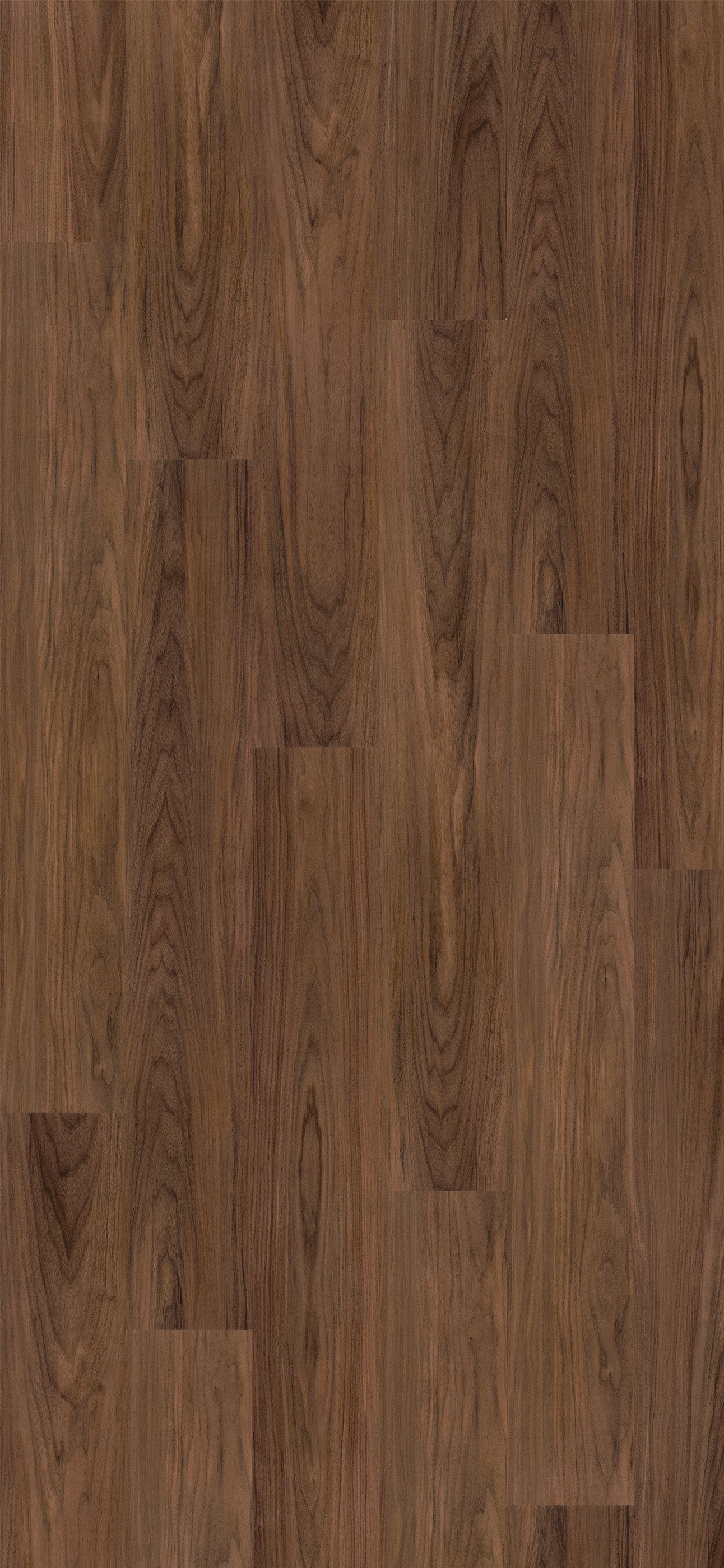 Majestic Walnut
