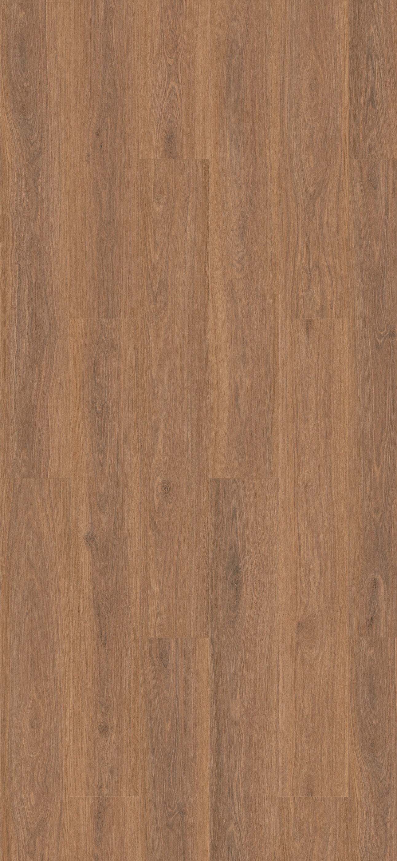 Umbria Oak