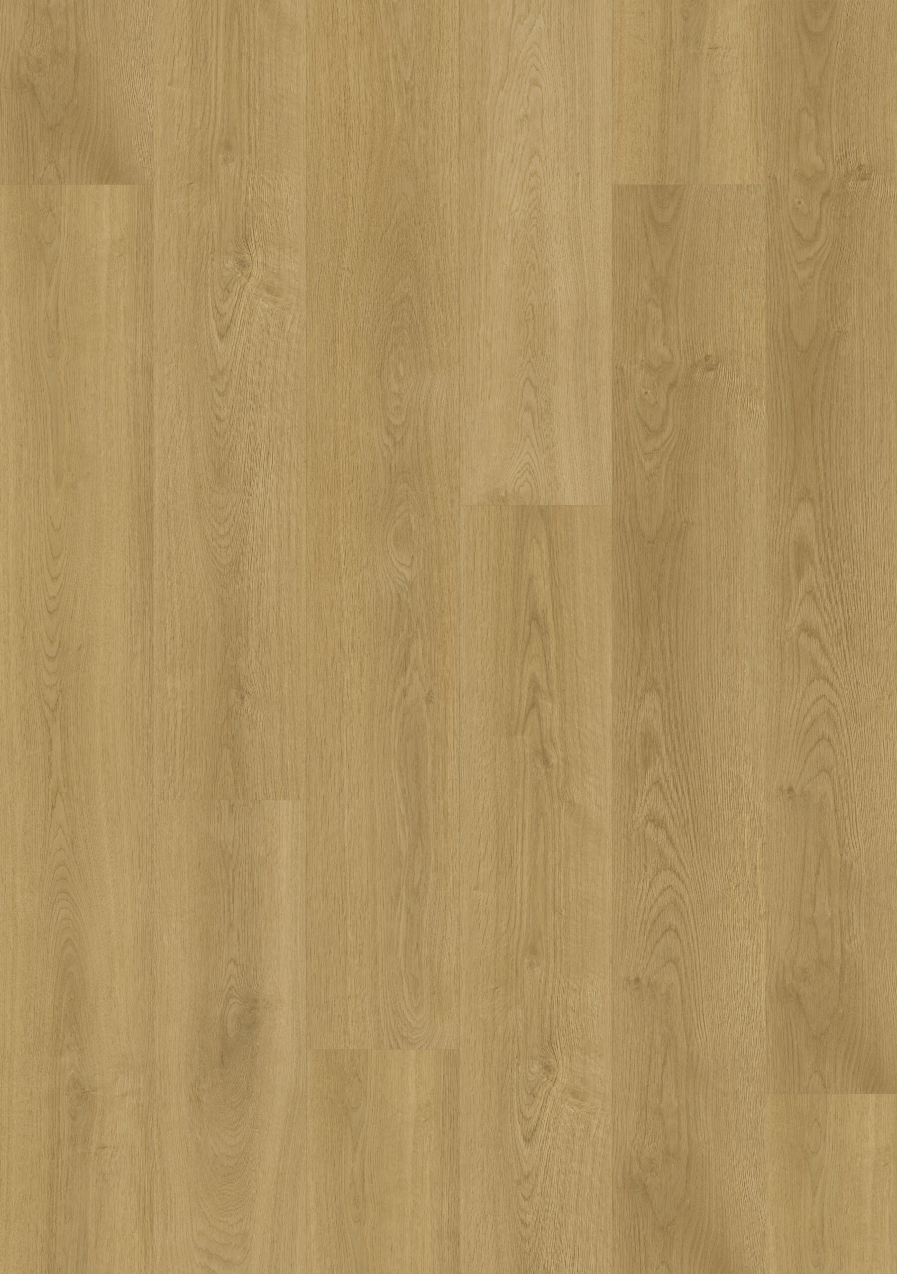 Native Oak