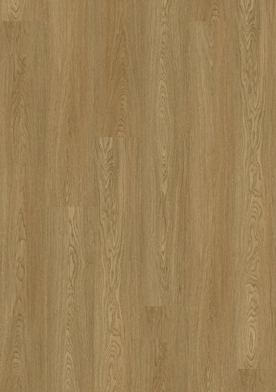 Mountain Ash