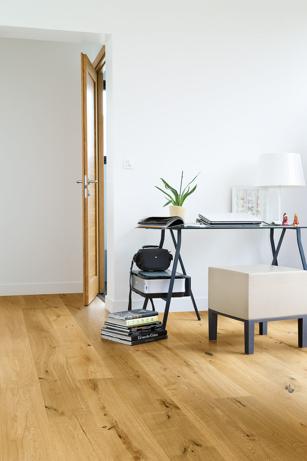 Manor Oak - Nature's Oak - Image 2