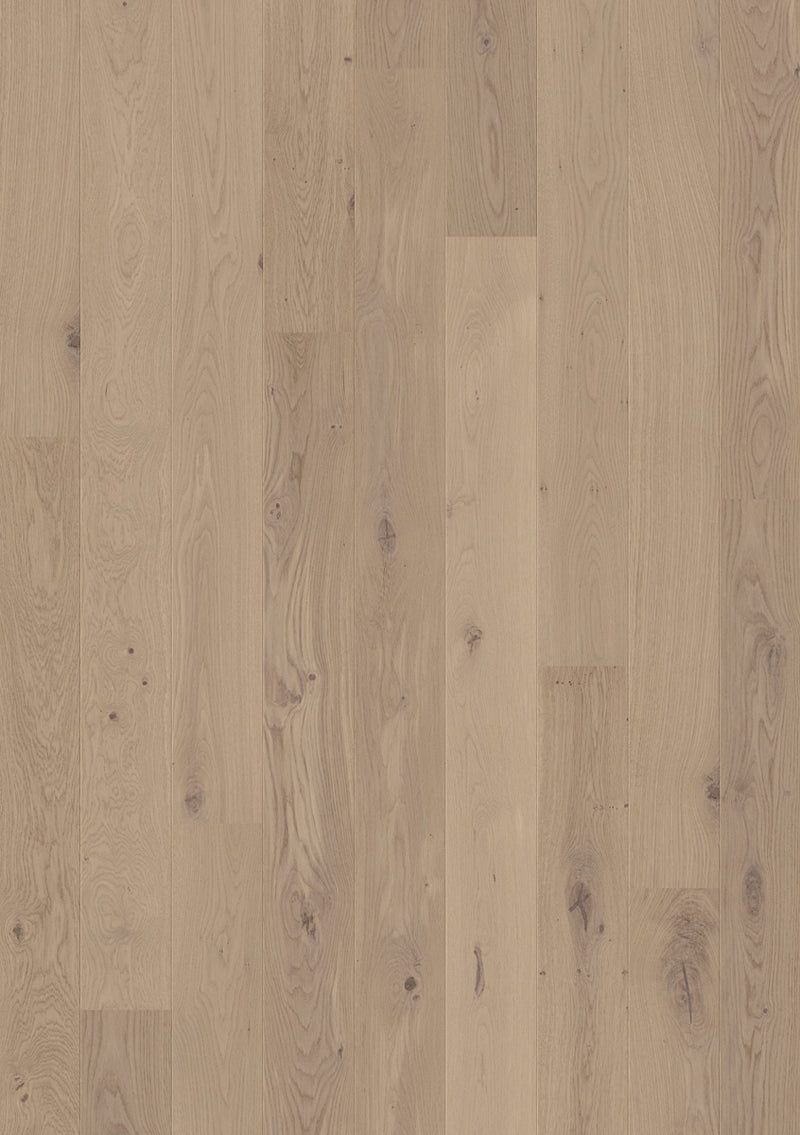 Cliff Grey Oak Extra Matt