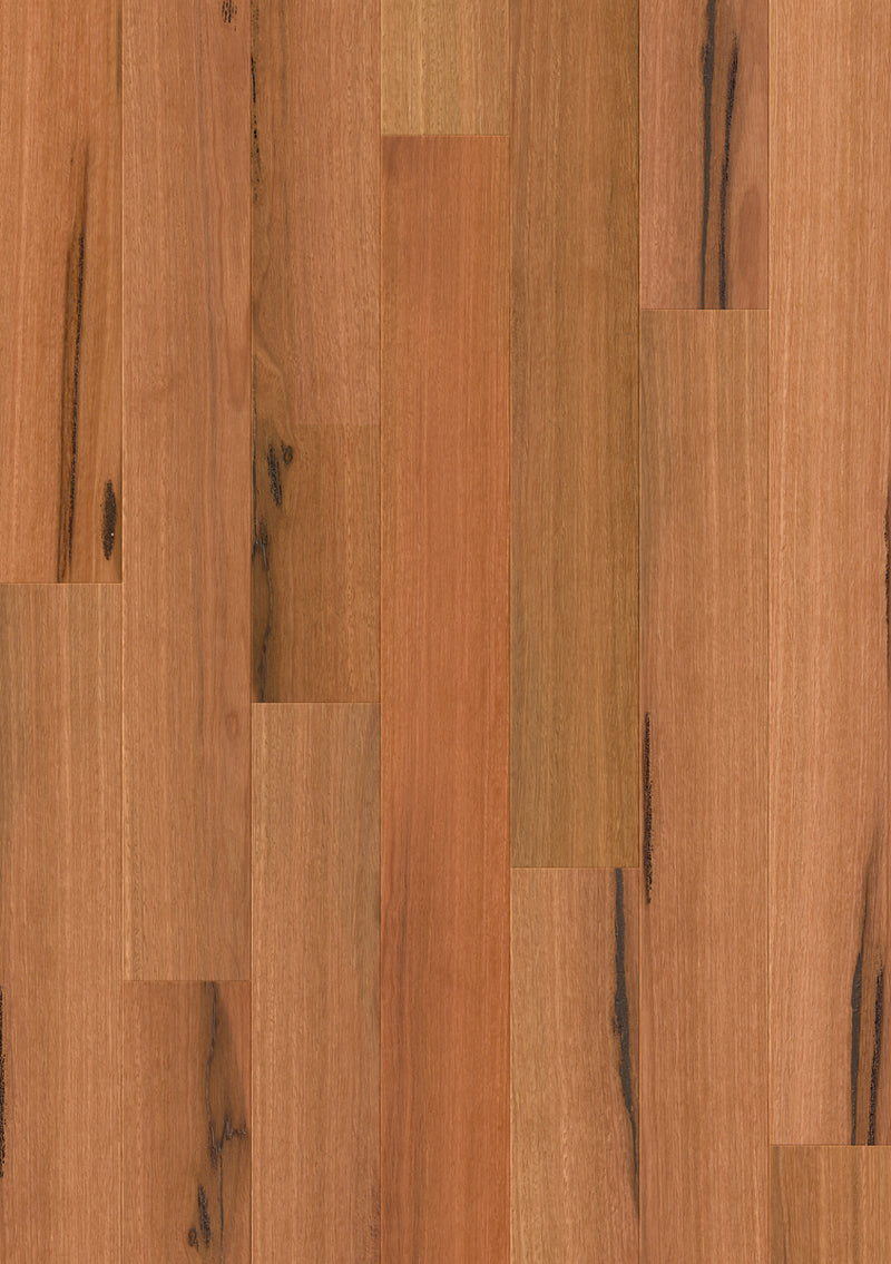 Spotted Gum, 1-Strip