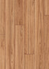 Blackbutt