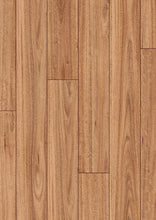 Load image into Gallery viewer, Blackbutt