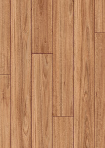 Blackbutt