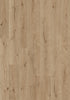 Tundra Oak