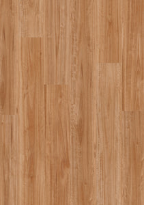Blackbutt