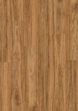 Load image into Gallery viewer, Spotted Gum