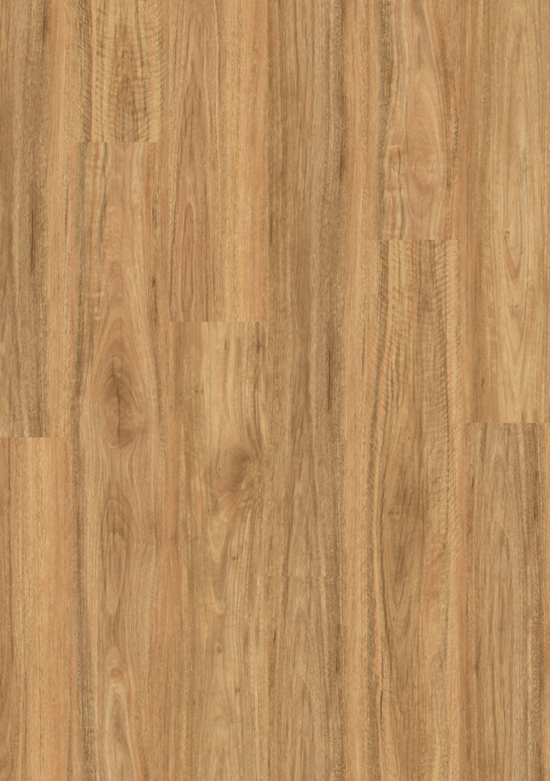 Stonewashed Spotted Gum