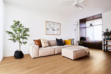 Load image into Gallery viewer, Bleached Blackbutt