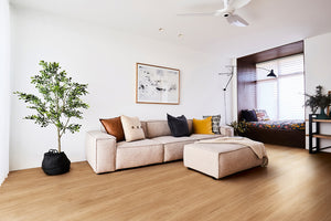 Bleached Blackbutt