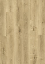 Load image into Gallery viewer, Spring Valley Oak