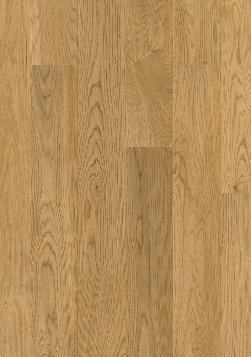 Driftwood Oak